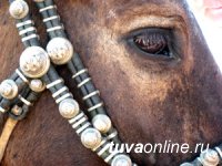 В Туве наградили победителя конкурса на "Лучшее снаряжение коня"