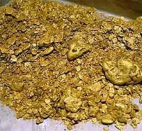 Роснедра объявили аукцион на право добычи рудного золота в Туве