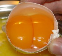 В Туве модернизированная птицефабрика начала выпуск пищевых яиц