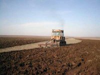 Россельхозбанк готов предоставить сельхозпроизводителям Тувы кредиты на весенне-полевую кампанию