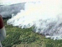 Власти Тувы мобилизуют ресурсы на борьбу с пожарами