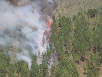 В Туве за неделю ликвидировано 24 лесных пожара