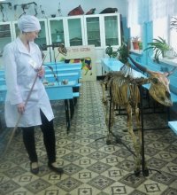 В межрегиональном конкурсе ссузов по специальности "Ветеринария" тувинские студенты завоевали 2-е место