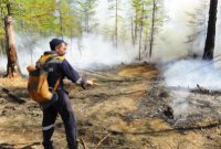 Власти Тувы ввели жесткие ограничения на посещение лесных массивов