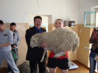 В Улан-Удэ будущий политолог из Тувы выиграл в борцовском турнире барана
