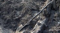 Имена погибших при тушении пожара десантников будут навечно включены в списки тувинской лесоохраны