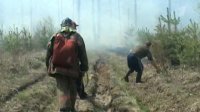 В Туве ликвидирован последний лесной пожар