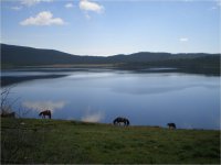 Туристическая Тува. Молочное озеро - Сут-Холь
