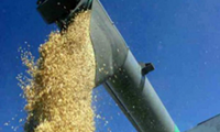 В Туве началась уборка зерновых урожая 2012 года