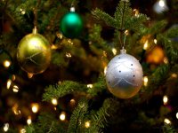 Среди колоний Тувы объявлен конкурс на лучшую новогоднюю елку