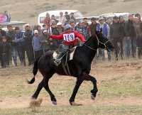 Лучшим коневодам Тувы на открытии сезона конных скачек вручены госнаграды