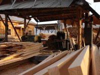 В Туве разработан закон против нелегального оборота древесины