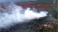 В Туве количество лесных пожаров сократилось вдвое