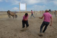 Тува отмечает праздник животноводов в Кызыле и  приграничном Тес-Хемском кожууне