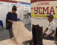 Межрегиональная универсальная выставка-ярмарка "Тываэкспо-2013" открылась в Кызыле