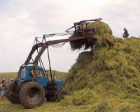 В Туве увеличились темпы заготовки кормов