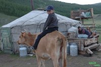 Минсельхоз России на 81 процент софинансирует поддержку аграриев Тувы