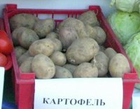 Кызылчане смогут посадить картошку недалеко от Ээрбека