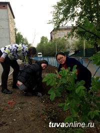Кызылские власти поощрят активистов по благоустройству и озеленению города, определят «лучшие» и «худшие» дворы и территории