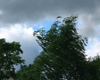 МЧС предупреждает: в Туве возможны ливни, шквалистый ветер, град