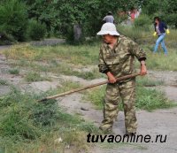 Кызылчане активно включились в борьбу с чашпаном