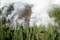 На территории Тувы действуют 10 лесных пожаров