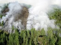В Туве действуют 11 лесных пожаров