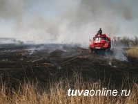 В связи с высокой пожароопасностью жителей Тувы просят воздержаться от посещения лесов
