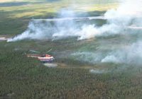 Площадь лесных пожаров в Туве сократилась на 3180 га