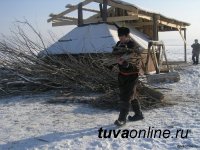 Зимовка скота в Туве проходит в стабильном режиме