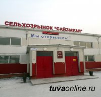 Кызыл: До сельхозрынка "Сайзырал" на маршрутке 14