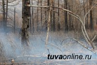 В Туве действует один лесной пожар