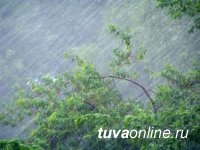 13 мая в Туве ожидается усиление ветра и сильный дождь