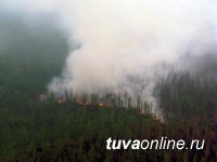 В Тоджинском кожууне Тувы ликвидирован крупный лесной пожар