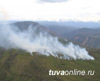 В Туве зарегистрированы два лесных пожара - в Пий-Хемском и Сут-Хольском кожуунах