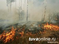 В Туве действуют 9 лесных пожаров