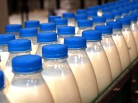 В Туве запущено в производство еще два модульных цеха по переработке молока