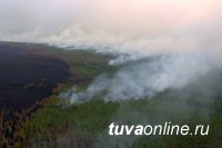Тува. Режим ЧС. Действуют 11 лесных пожаров