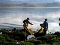Глава Тувы предложил ввести льготный порядок выдачи квот на рыбную ловлю для коренных малочисленных народов Севера