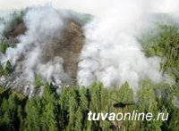 В Туве действует 11 лесных пожаров на территории более 2000 га
