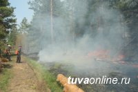 За сутки в Туве ликвидировано два, локализовано восемь лесных пожаров