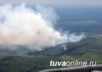 В Туве все четыре лесных пожара локализованы