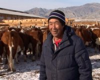 В Туве СПК «Амык» становится основой для развития специализированного мясного скотоводства