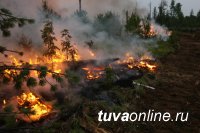 Более 90% площади лесных пожаров пришлось на Забайкальский край, Иркутскую, Амурску области, Бурятию