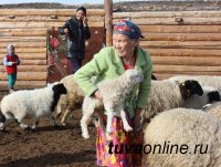 В Туве на особом контроле завершение зимовки скота, окотная кампания и защита чабанских стоянок от подтоплений
