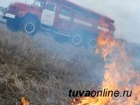Тува: МЧС предупреждает об ужесточении штрафов за поджог травы
