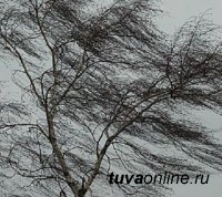 Сильный ветер и гололедица на дорогах ожидаются в Туве 13 апреля