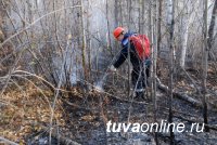 В таежном Каа-Хемском районе Тувы действует один лесной пожар