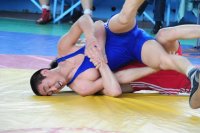 В Туве готовятся к проведению Всероссийского турнира по вольной борьбе «Центр Азии»
