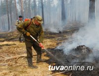 В Каа-Хемском районе Тувы действуют два лесных пожара